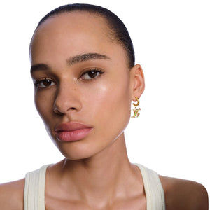 ✨NEW✨LOUIS VUITTON 2025 LV x TM Takashi Murakami Superflat Earrings